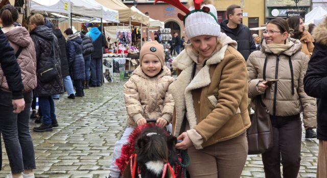 jarmark bozonarodzeniowy Świdnica 20 12 2025 (1) jarmark bozonarodzeniowy Świdnica 20 12 2025 (1)