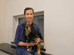 Fajerwerki: krótka radość dla ludzi, cierpienie dla zwierząt