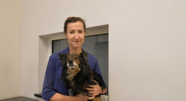 Fajerwerki: krótka radość dla ludzi, cierpienie dla zwierząt