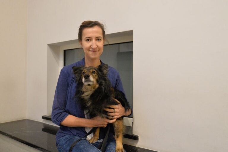 Fajerwerki: krótka radość dla ludzi, cierpienie dla zwierząt