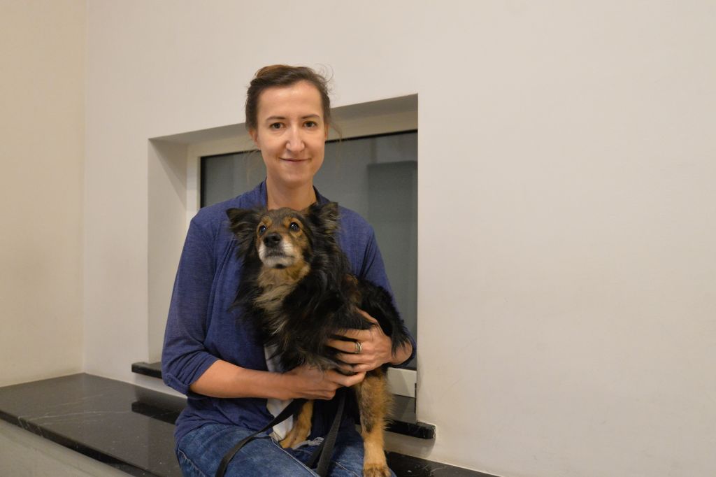 Fajerwerki: krótka euforia dla ludzi, cierpienie dla zwierząt