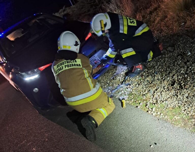 Strażacy uwalniali lisa ze… zderzaka [FOTO]