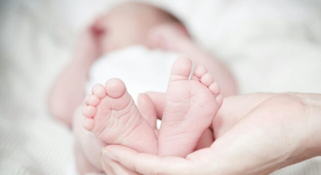 Powitali na świecie ponad 80 maluszków. Styczeń w świdnickim „Latawcu”