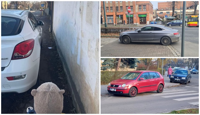 Mistrzowie parkowania [FOTO]