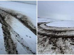 Znów ktoś niszczy pola w powiecie świdnickim. Rolnik wyznaczył nagrodę