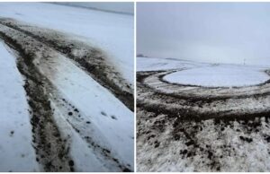 Znów ktoś niszczy pola w powiecie świdnickim. Rolnik wyznaczył nagrodę