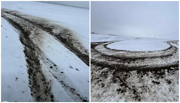 Znów ktoś niszczy pola w powiecie świdnickim. Rolnik wyznaczył nagrodę