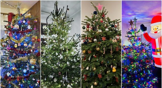 page - choinki świąteczne naszych Czytelników 2025