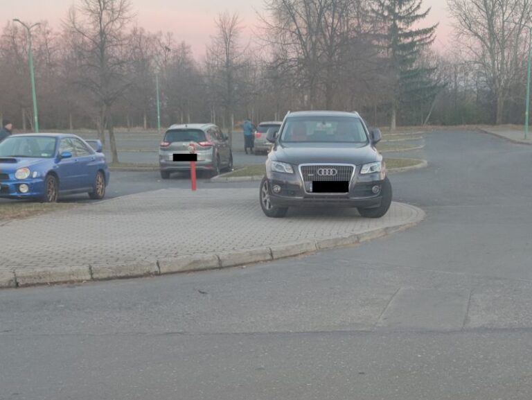 Mistrzowie parkowania [FOTO]