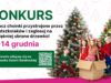 Pomóż wybrać najpiękniejszą choinkę! Trwa głosowanie w świątecznej akcji Galerii Świdnickiej