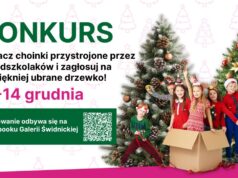 Pomóż wybrać najpiękniejszą choinkę! Trwa głosowanie w świątecznej akcji Galerii Świdnickiej