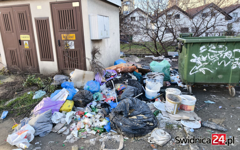 „Gmina Miasto Świdnica jest świadoma problemu”. Co z tego wynika, czyli śmietnisko w centrum [FOTO]