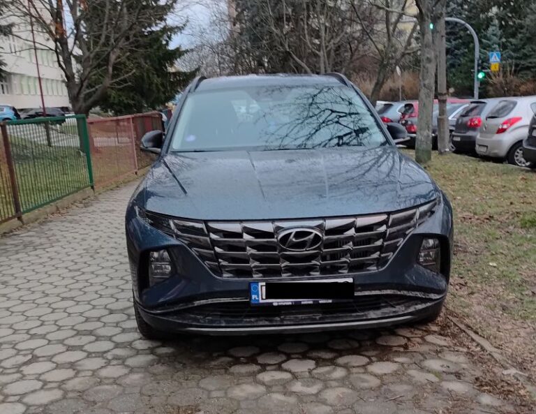 Mistrzowie parkowania [FOTO]