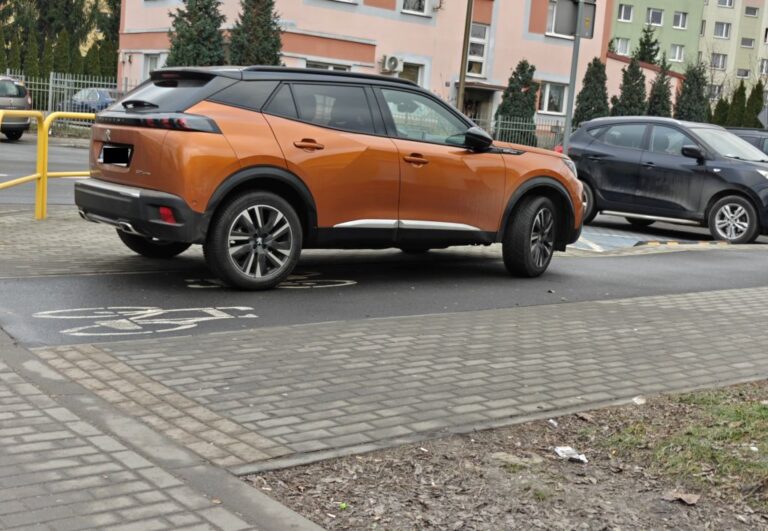 Mistrzowie parkowania [FOTO]