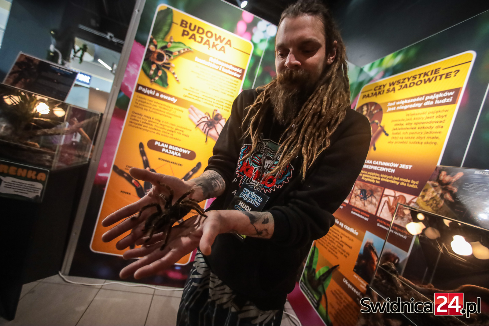 Ptaszniki i skorpiony jak z horroru? Nic bardziej mylnego – poznaj ich fascynujący świat na świdnickiej wystawie [FOTO]