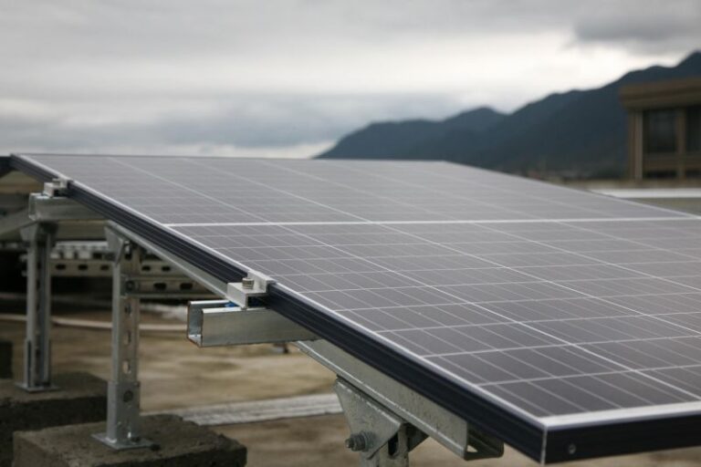 Dlaczego fotowoltaika przenosi się na działki, nie na dachy. Nowy kierunek inwestycji w energię dla firm i rolników