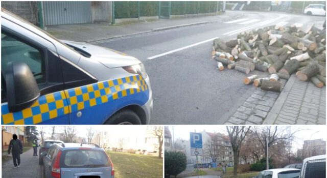 Bezdomni koczujący na klatkach schodowych, popijanie w poczekalni dworca, mężczyzna leżący na schodach. Interwencje straży miejskiej