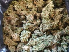 9 osób zatrzymanych z narkotykami