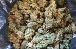 9 osób zatrzymanych z narkotykami