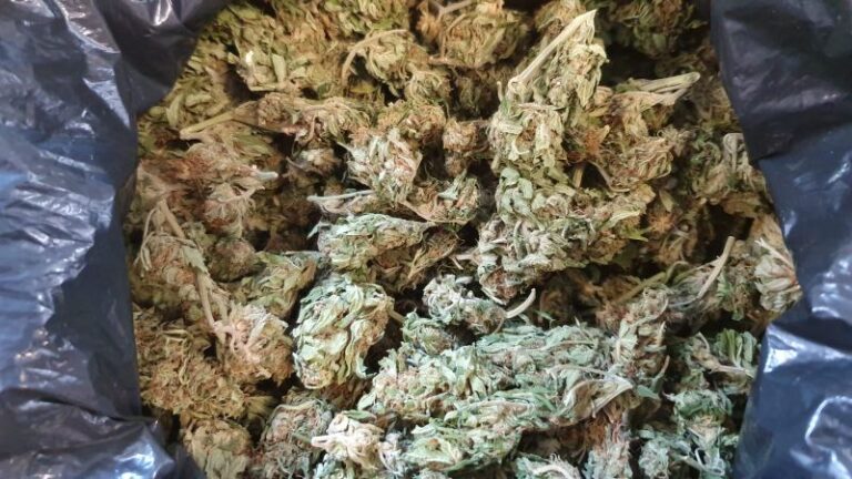 9 osób zatrzymanych z narkotykami