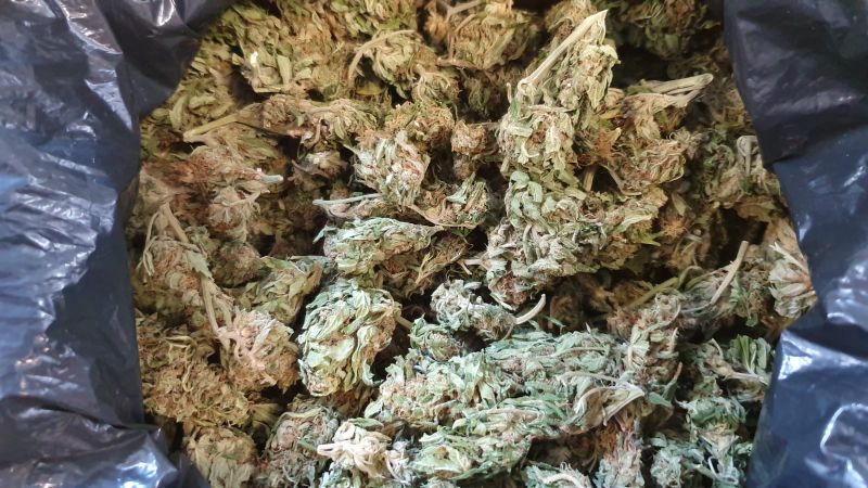 9 osób zatrzymanych z narkotykami