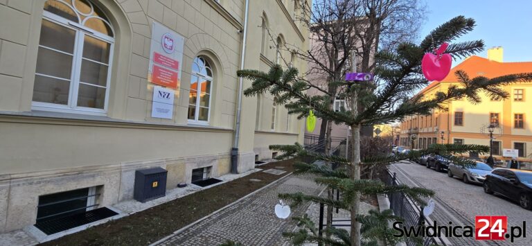 Odblaski w zasięgu ręki. MOPS zaprasza, policja przypomina [FOTO]