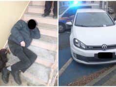 Portfel z plikiem pieniędzy, bezdomny w laboratorium, „mistrzowie parkowania”. Interwencje straży miejskiej