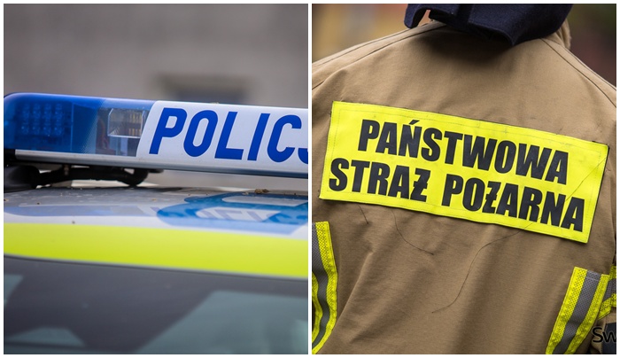 Alarmy w muzeum, trzej nietrzeźwi, zagubiony pies. Spokojna noc sylwestrowa