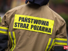 Strażacy ratowali psa ze stawu