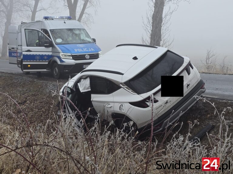 Wypadł z drogi niedaleko Bystrzycy Górnej [FOTO]