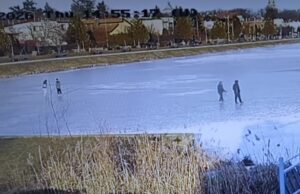 Spacerowicze na zalewie, gołąb uciekinier. Interwencje straży miejskiej