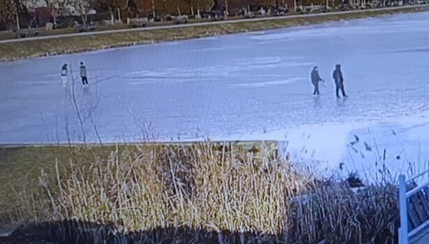 Spacerowicze na zalewie, gołąb uciekinier. Interwencje straży miejskiej