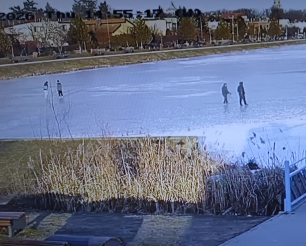 Spacerowicze na zalewie, gołąb uciekinier. Interwencje straży miejskiej