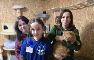 Zwierząt w schronisku coraz mniej, ale zostają na dłużej