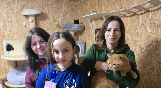 Dzień Kota schronisko w Świdnicy 22 02 2026 (3) Dzień Kota schronisko w Świdnicy 22 02 2026 (3)