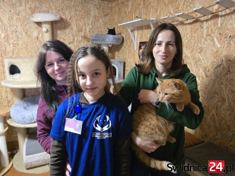 Dzień Kota w świdnickim schronisku. Edukacja, pomoc i apel [FOTO]