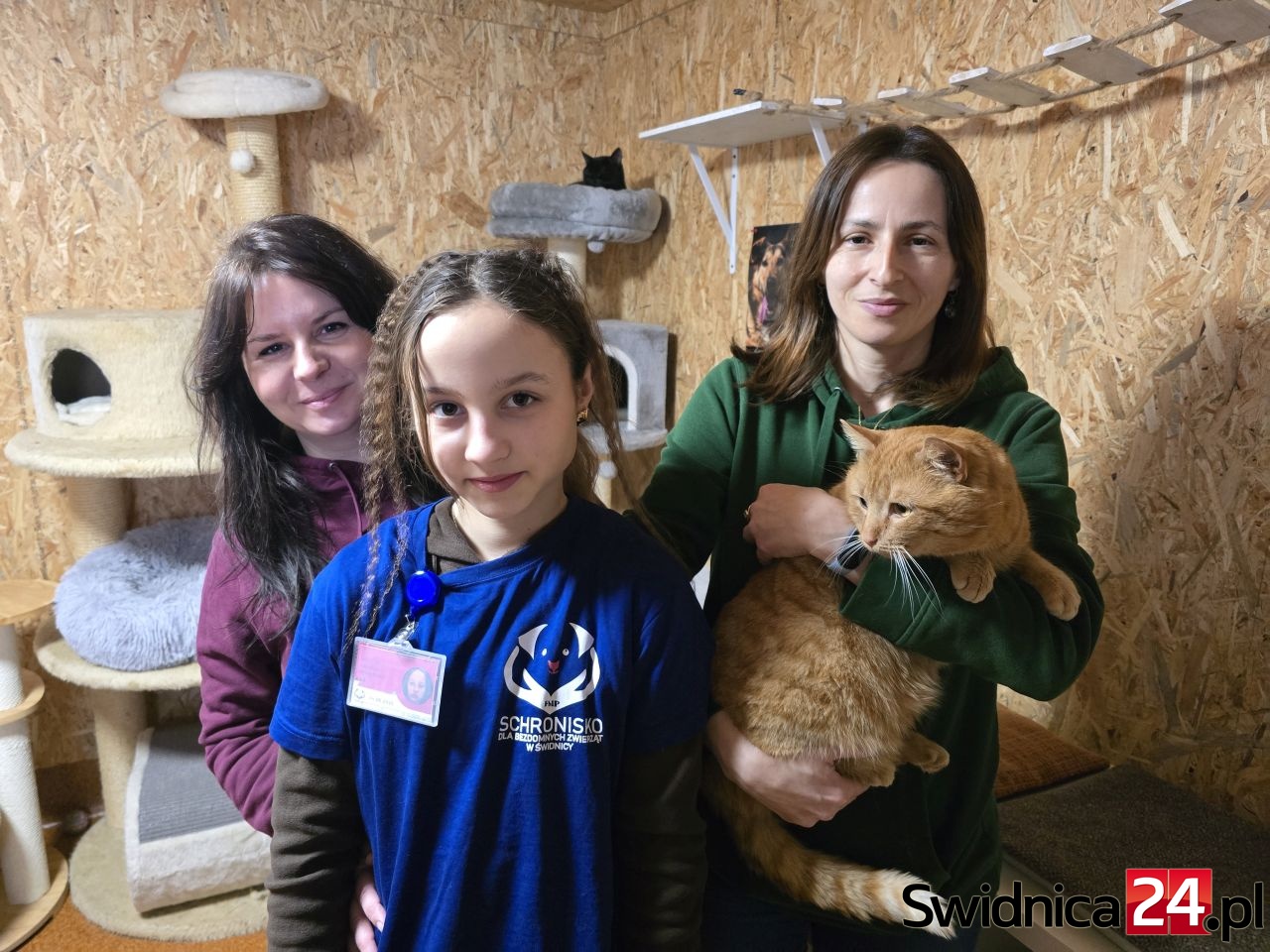 Dzień Kota w świdnickim schronisku. Edukacja, pomoc i apel [FOTO]