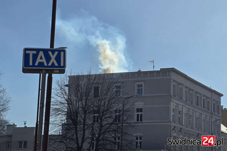 Akcja strażaków przy Westerplatte. Pożar sadzy w kominie [FOTO]