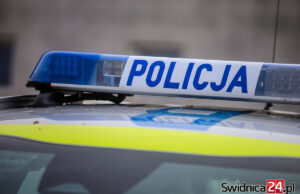 Wyszedł z perfumami, odpowie za narkotyki