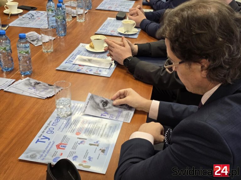 Jest ulotka z numerami telefonów. Samorządowcy, społecznicy i służby wspólnie dla zwierząt [FOTO]