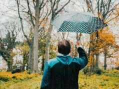 Parasol Doppler – dlaczego ta marka cieszy się tak dobrymi opiniami wśród klientów?