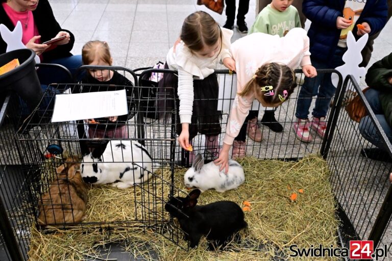 Od kolorowych warsztatów po spotkanie z królikami w Galerii Świdnickiej [FOTO/VIDEO]
