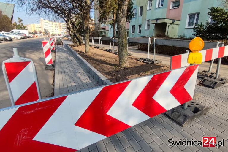 Ubyło miejsc parkingowych, zniknęły drzewa. Trwa budowa nowych przystanków i ścieżki rowerowej [FOTO]