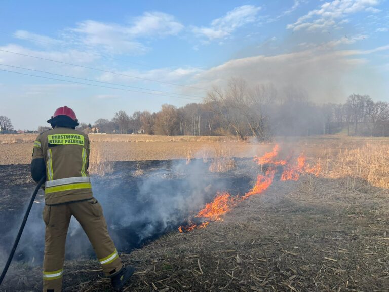 Strażacy walczą z kolejnymi pożarami traw [FOTO]
