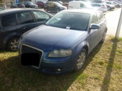 Zagubiony telefon, pies uciekinier, parkowanie na trawnikach. Interwencje Straży Miejskiej