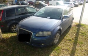 Zagubiony telefon, pies uciekinier, parkowanie na trawnikach. Interwencje Straży Miejskiej