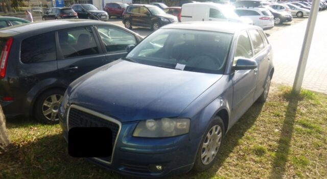 Zagubiony telefon, pies uciekinier, parkowanie na trawnikach. Interwencje Straży Miejskiej