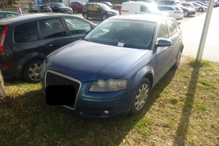 Zagubiony telefon, pies uciekinier, parkowanie na trawnikach. Interwencje Straży Miejskiej