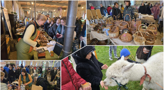 Targ Ziemi130 w Tarnawie 2026.03.29-mix