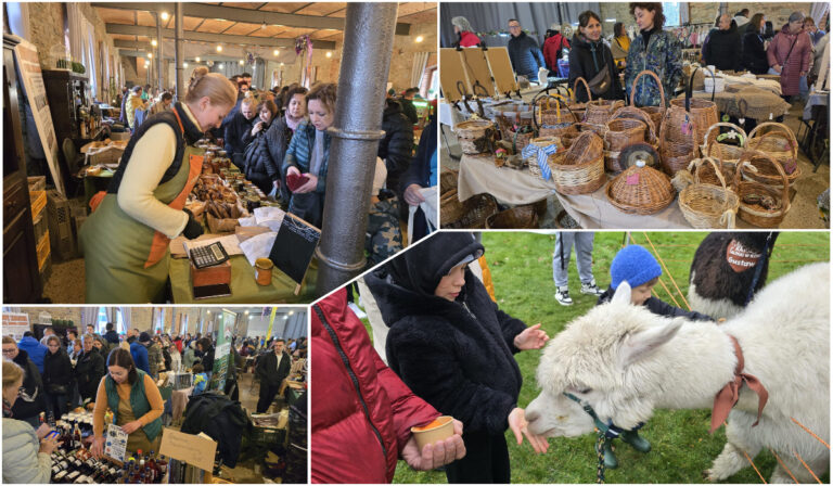 Wielkanocne smaki na Targu Ziemi130. Pojawiły się też alpaki [FOTO/VIDEO]